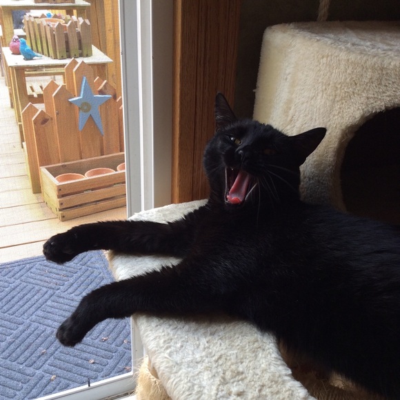 Meet your Posher, Andrea 🕸🥀🕸 - Picture 8 of 11